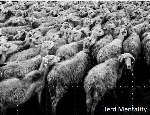 Herd Mentality